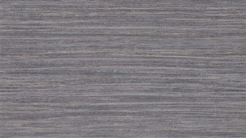 Oralia 111441
